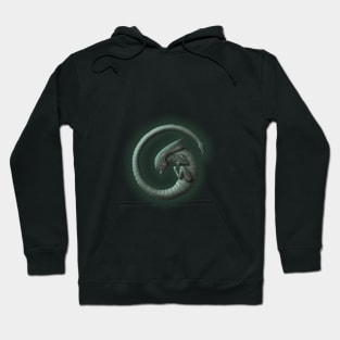 Alien on Board - Cool Hoodie